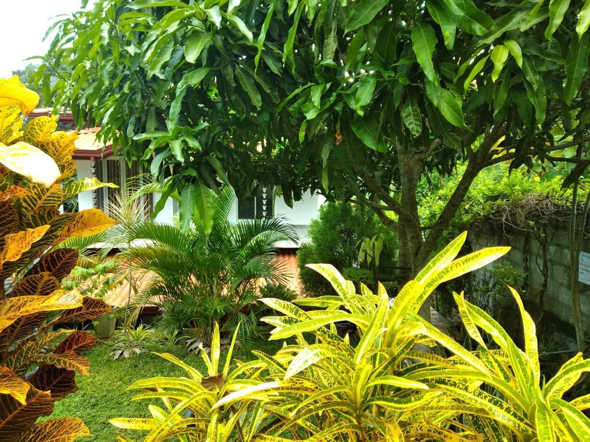 Sandhara Home Stay Tangalle Kültér fotó