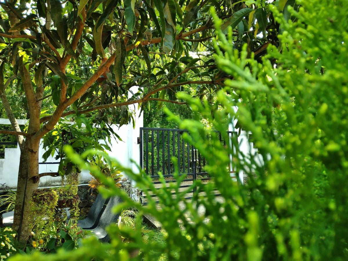Sandhara Home Stay Tangalle Kültér fotó